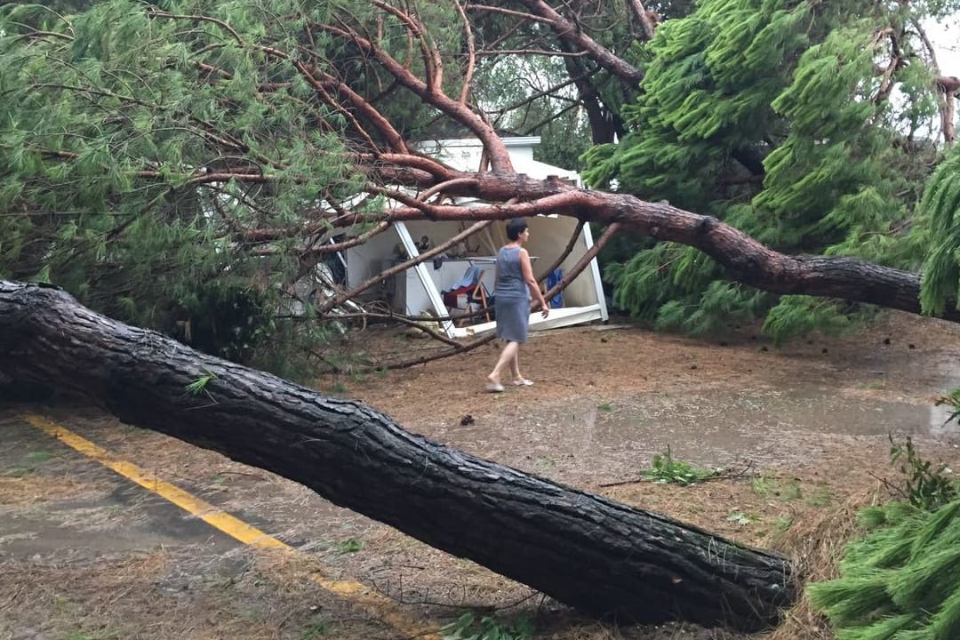 Eine Frau geht auf dem Campingplatz Sant Angelo Village in Cavallino bei Venedig (Italien) an umgestürzten Bäumen vorbei.