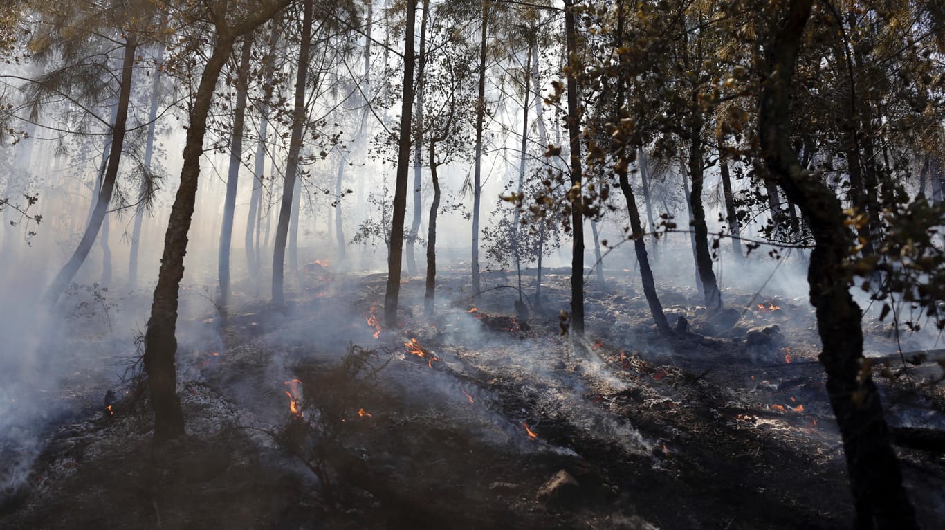 Nach den verheerenden Bränden mit 64 Toten halten brennende Wälder in Portugal die Feuerwehr weiter in Atem.