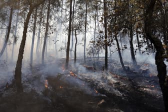 Nach den verheerenden Bränden mit 64 Toten halten brennende Wälder in Portugal die Feuerwehr weiter in Atem.