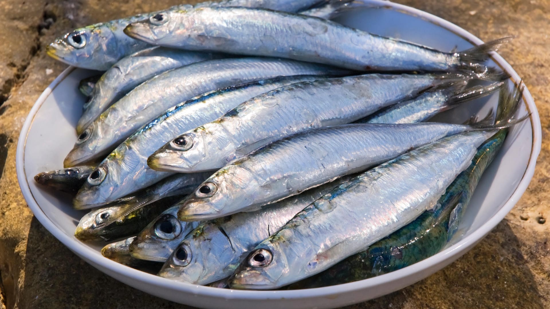 Speisefische: Sardinen und Sardellen werden oft verwechselt, denn sie gleichen sich auf den ersten Blick sehr stark.