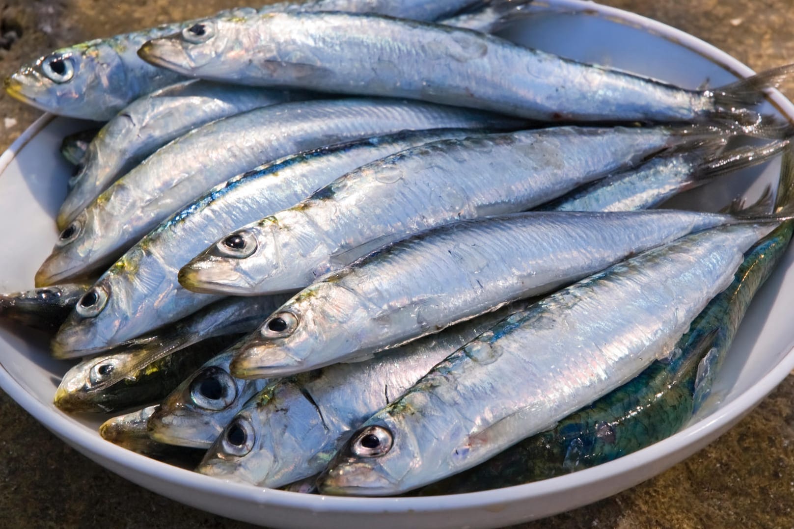 Speisefische: Sardinen und Sardellen werden oft verwechselt, denn sie gleichen sich auf den ersten Blick sehr stark.