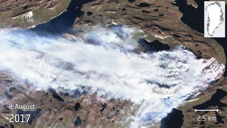 Die Satellitenaufnahme zeigt dichten Rauch über dem Flächenbrand in Grönland.