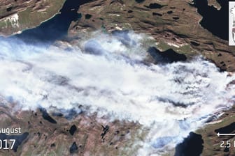 Die Satellitenaufnahme zeigt dichten Rauch über dem Flächenbrand in Grönland.