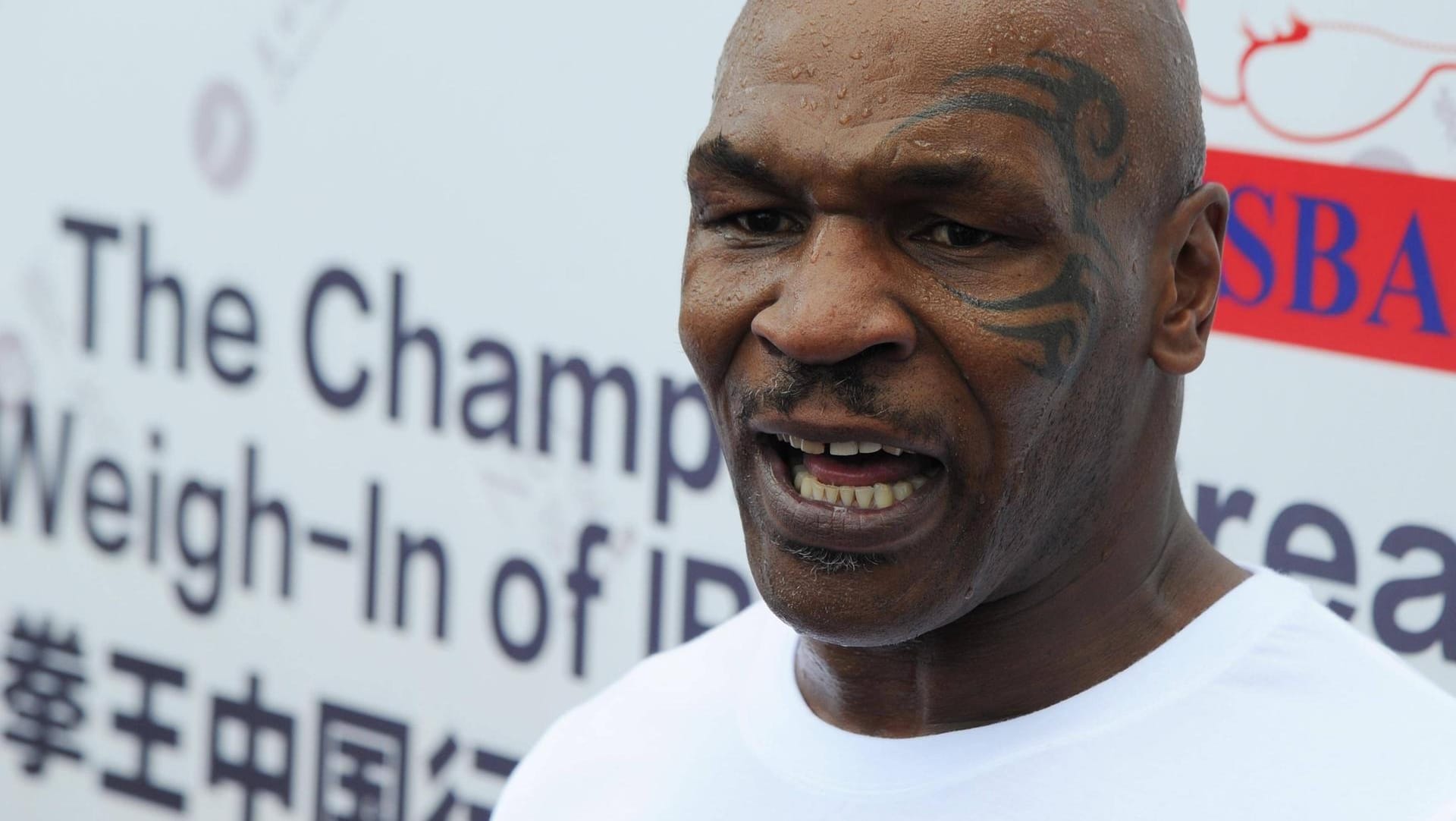 Mike Tyson gewann 50 seiner 58 Profi-Kämpfe, 44 durch K.o.