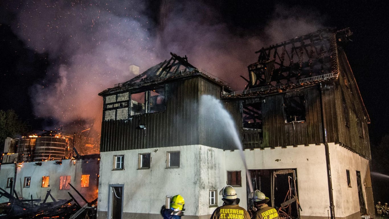 Der Feuerwehr gelang es, die angrenzenden Ställe vor den Flammen zu schützen. Mitarbeiter des Gestüts brachten 30 Hengste in sichere Gebäude.