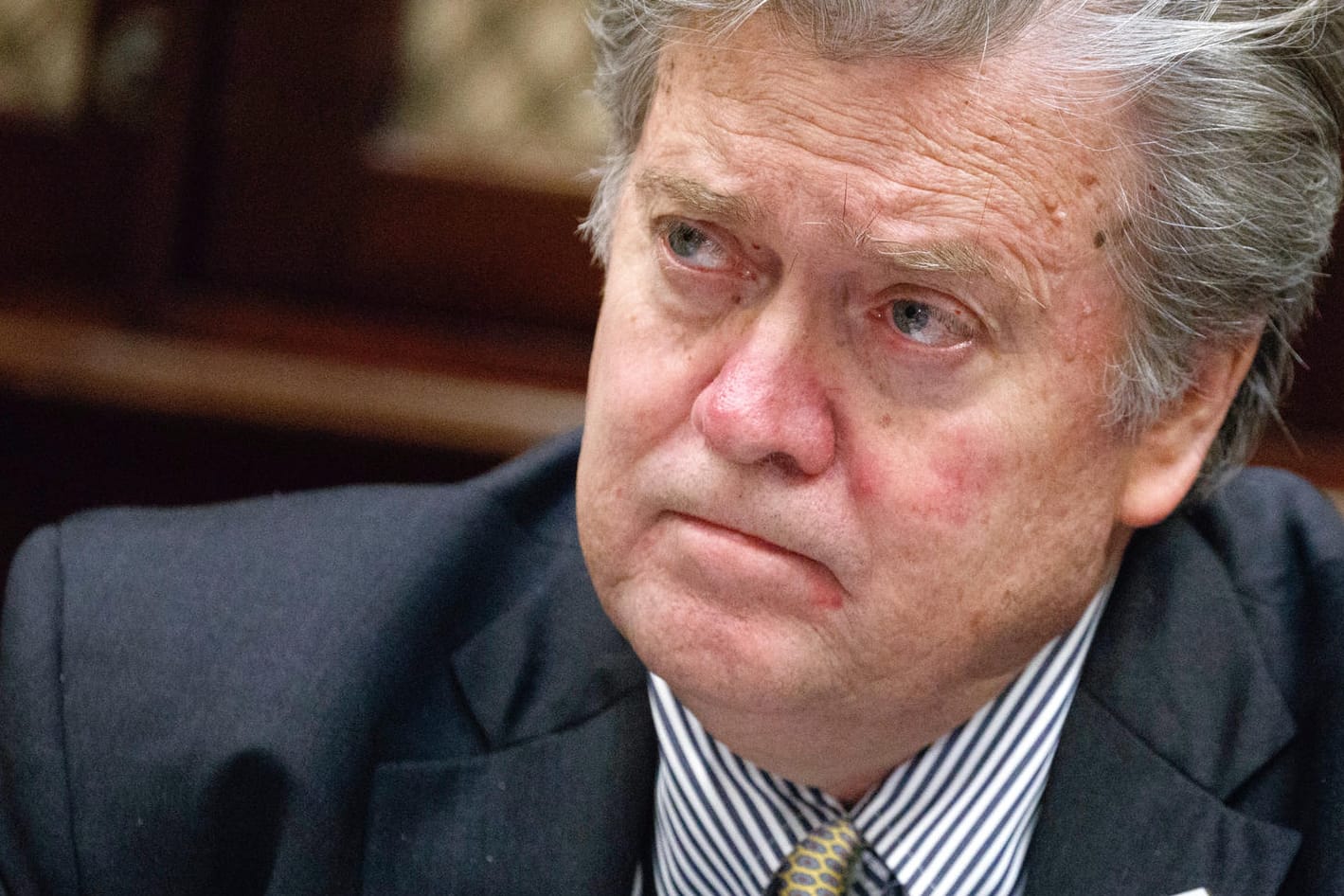 Steve Bannon