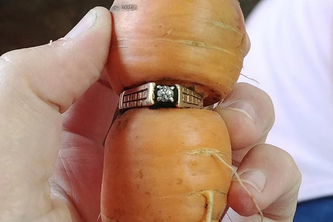 Die heute 84-Jährige hatte ihren Ring 2004 bei Gartenarbeiten verloren und auf ungewöhnliche Weise wiederbekommen.