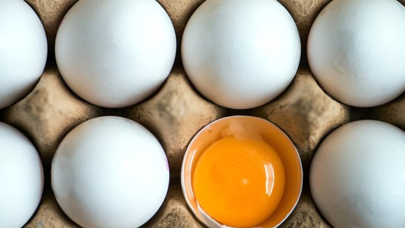 Ein aufgeschlagenes Ei liegt zwischen anderen weißen Eiern. In Sachsen sind nun auch mit Fipronil belastete Eier aufgetaucht.