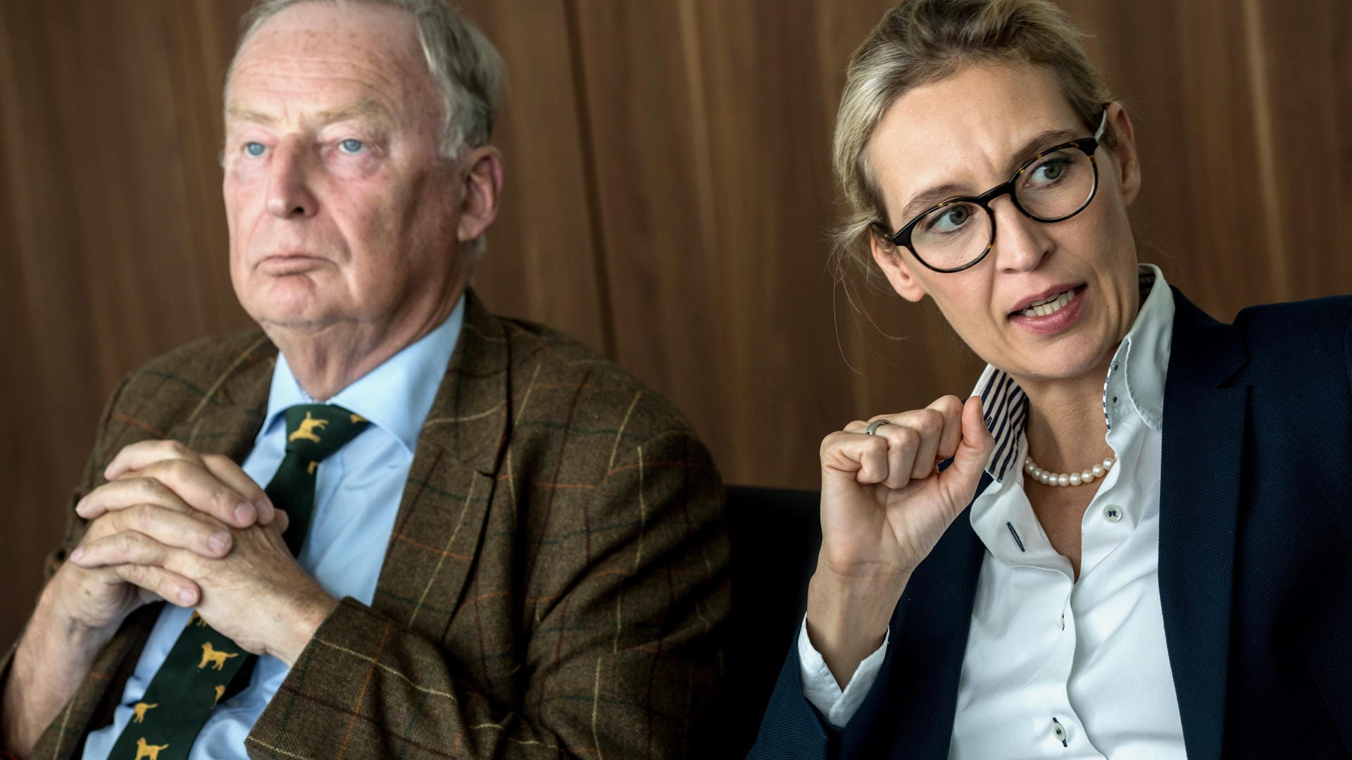 Die AfD-Spitzenkandidaten Gauland und Weidel.