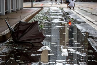 Mit hohen Wellen, heftigen Böen und Wolkenbrüchen hat Taifun Hato Hongkong und das chinesische Festland erreicht.