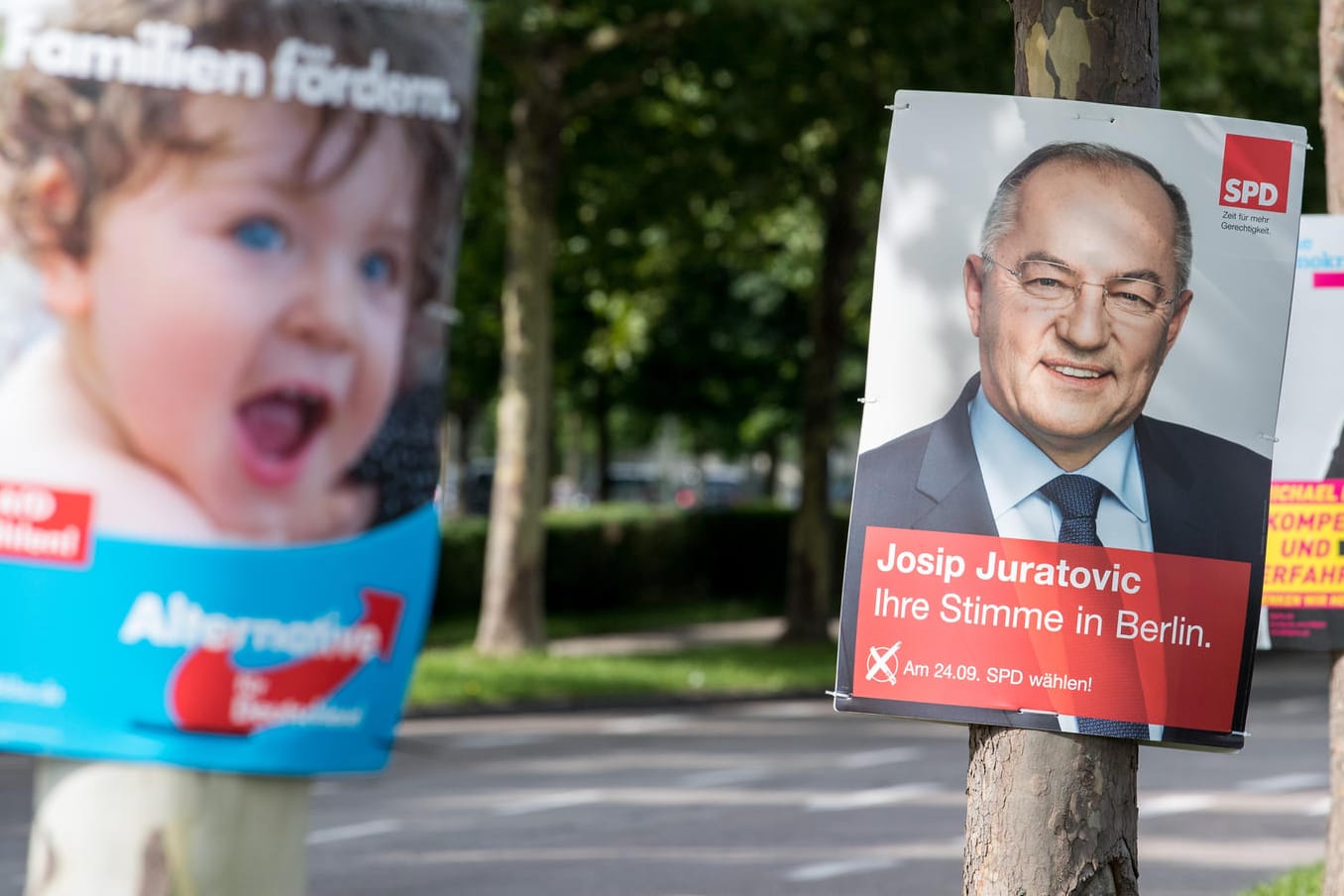 Vier Wochen vor der Bundestagswahl haben Union und SPD nach dem neuen ARD-"Deutschlandtrend" an Zustimmung verloren, die AfD gewinnt hingegen zu.