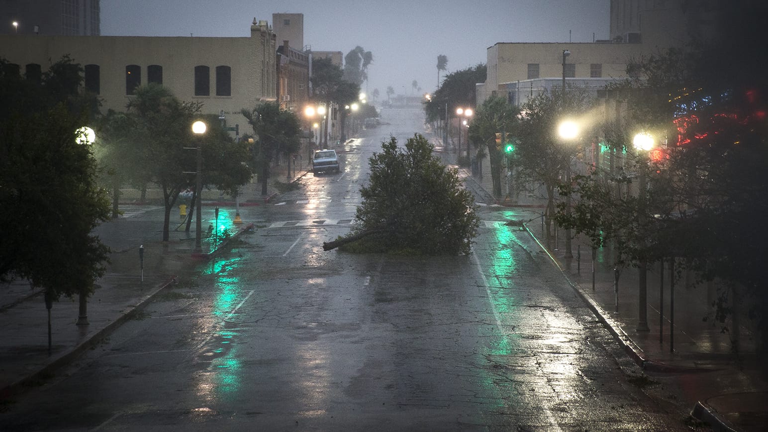 Ein abgeknickter Baum liegt in Corpus Christi (Texas) auf der Straße. Ein abgeknickter Baum liegt in Corpus Christi (Texas) auf der Straße.