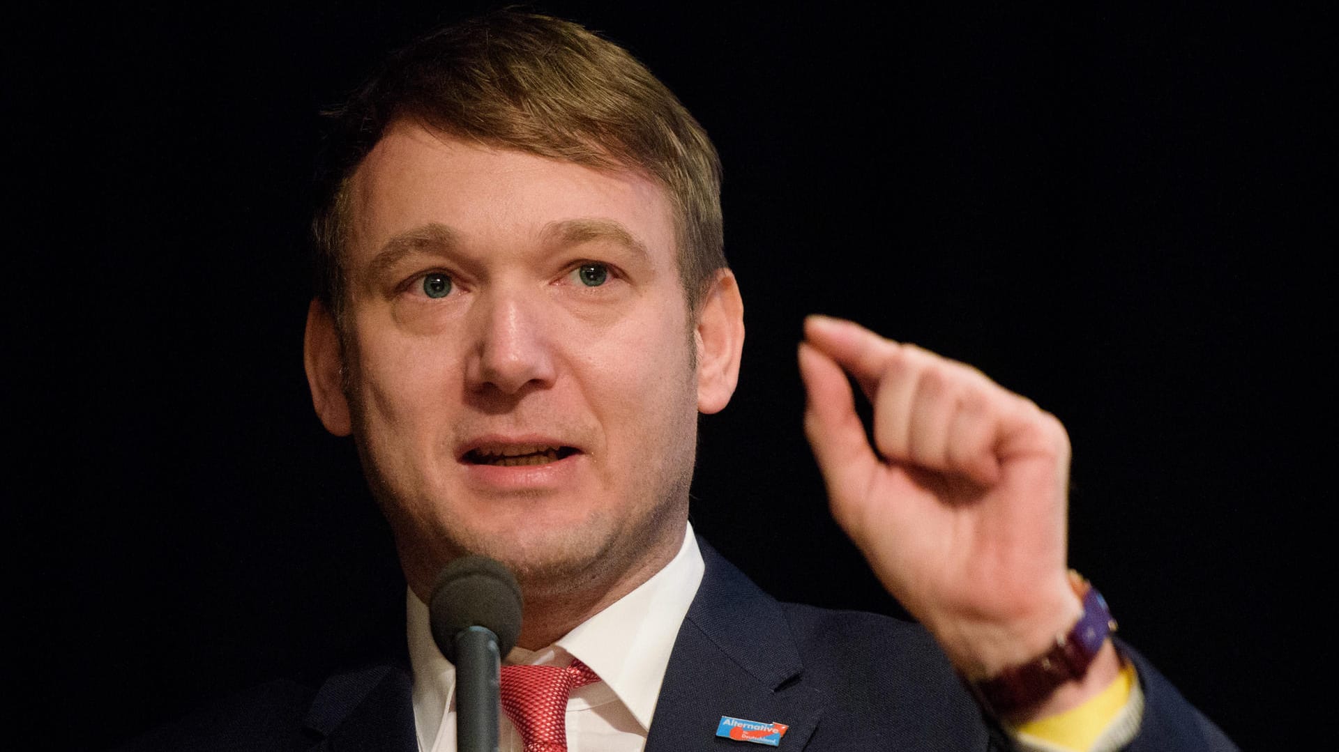 André Poggenburg, Landesvorsitzender der AfD in Sachsen-Anhalt, nannte als Grund für die Absage des Parteitags "Aufrufe zu linken Sabotageakten". André Poggenburg, Landesvorsitzender der AfD in Sachsen-Anhalt, nannte als Grund für die Absage des Parteitags "Aufrufe zu linken Sabotageakten".