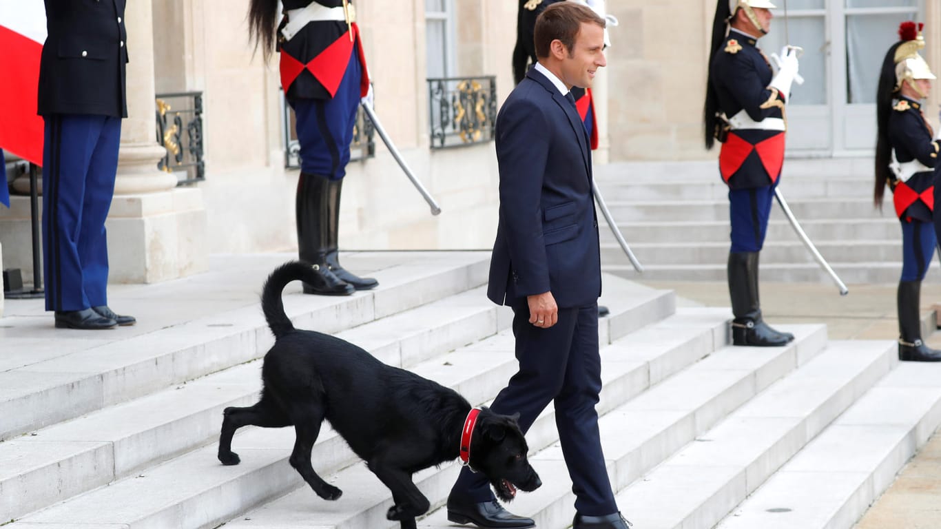Emmanuel Macron mit seinem neuen Hund Nemo.