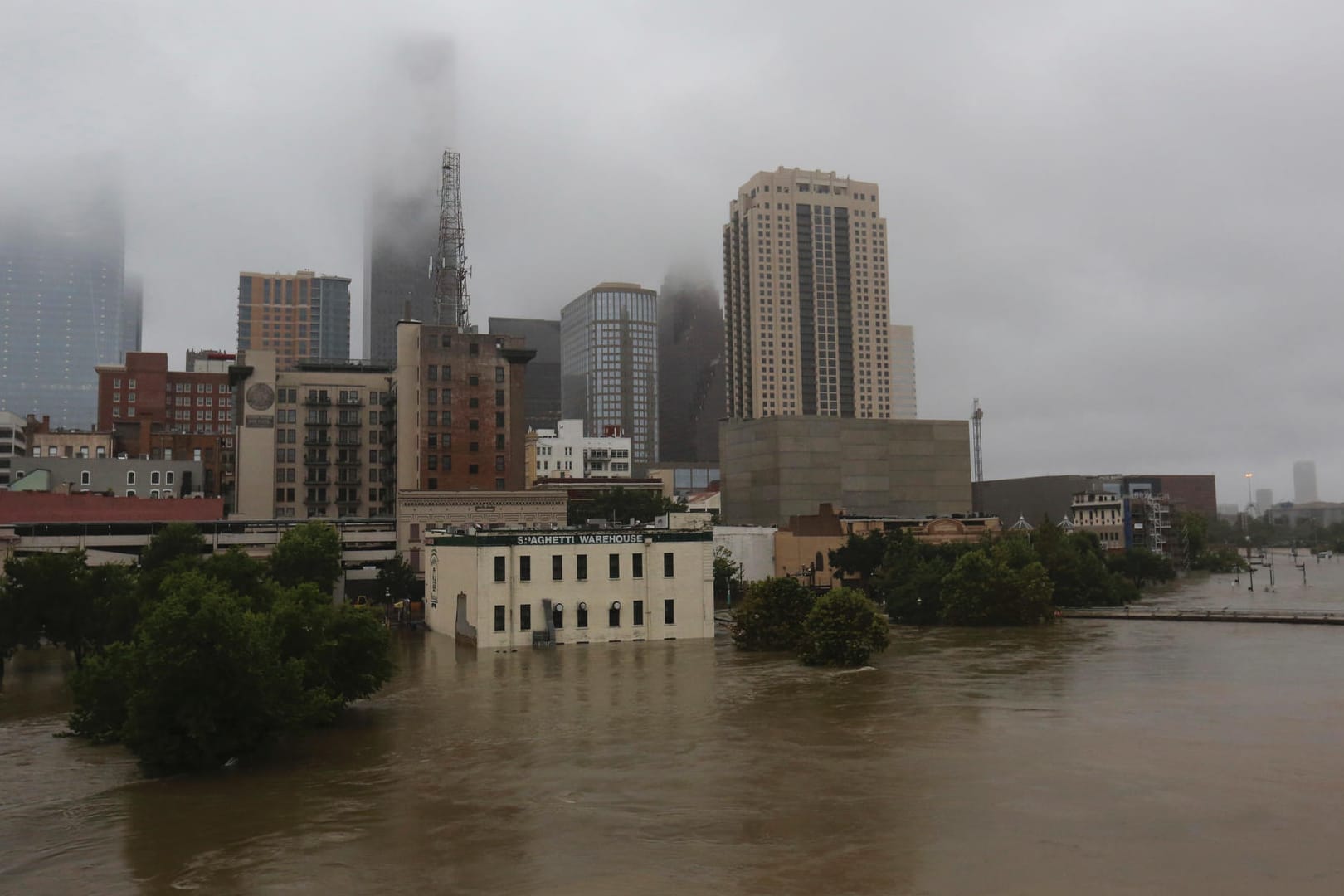 Harvey