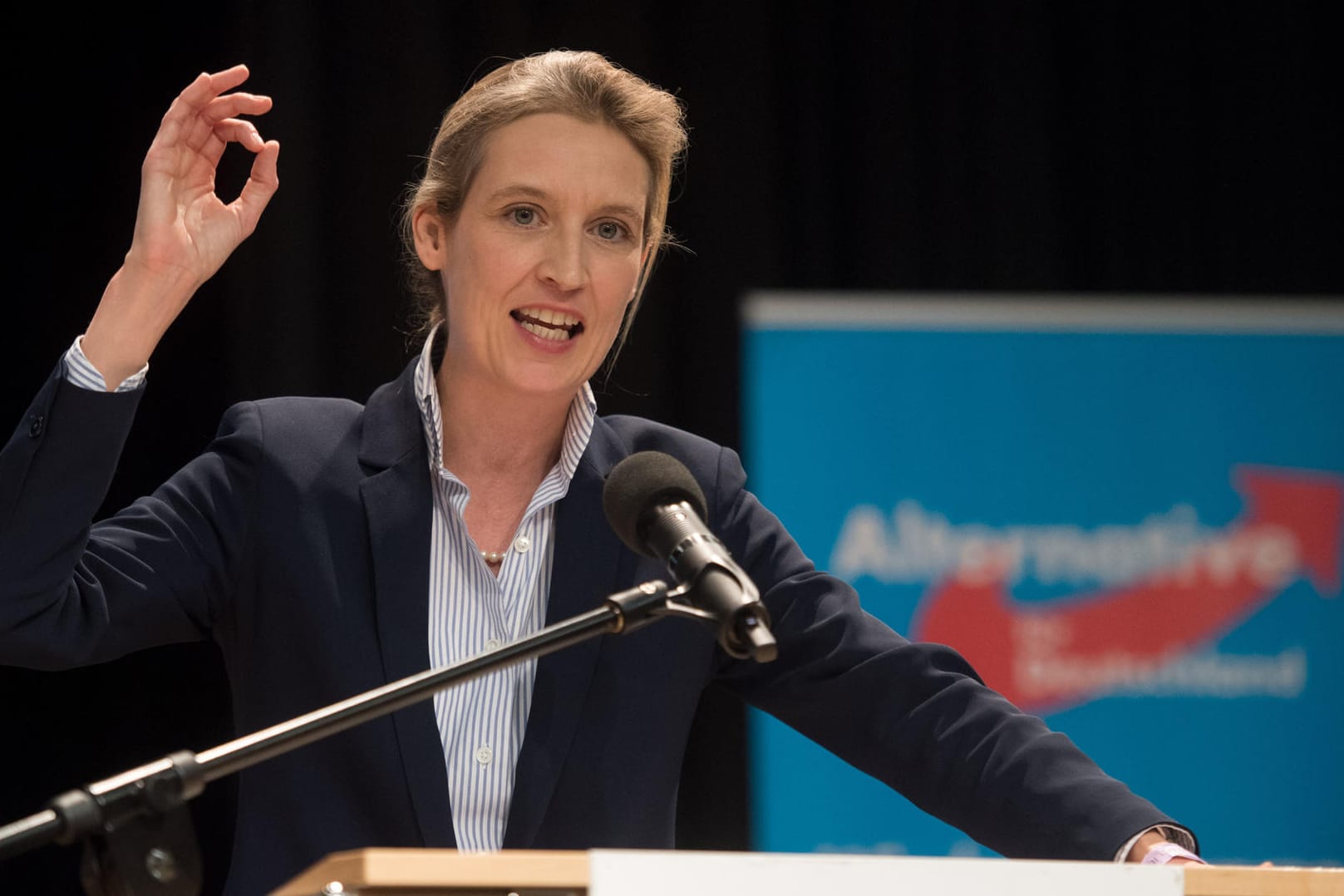 Die AfD-Spitzenkandidatin Alice Weidel meint, Angela Merkel habe gegen geltendes deutsches und europäisches Recht verstoßen.