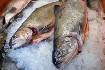 Fisch liegt voll im Trend: Deutsche schrecken nicht vor hohen Preisen zurück