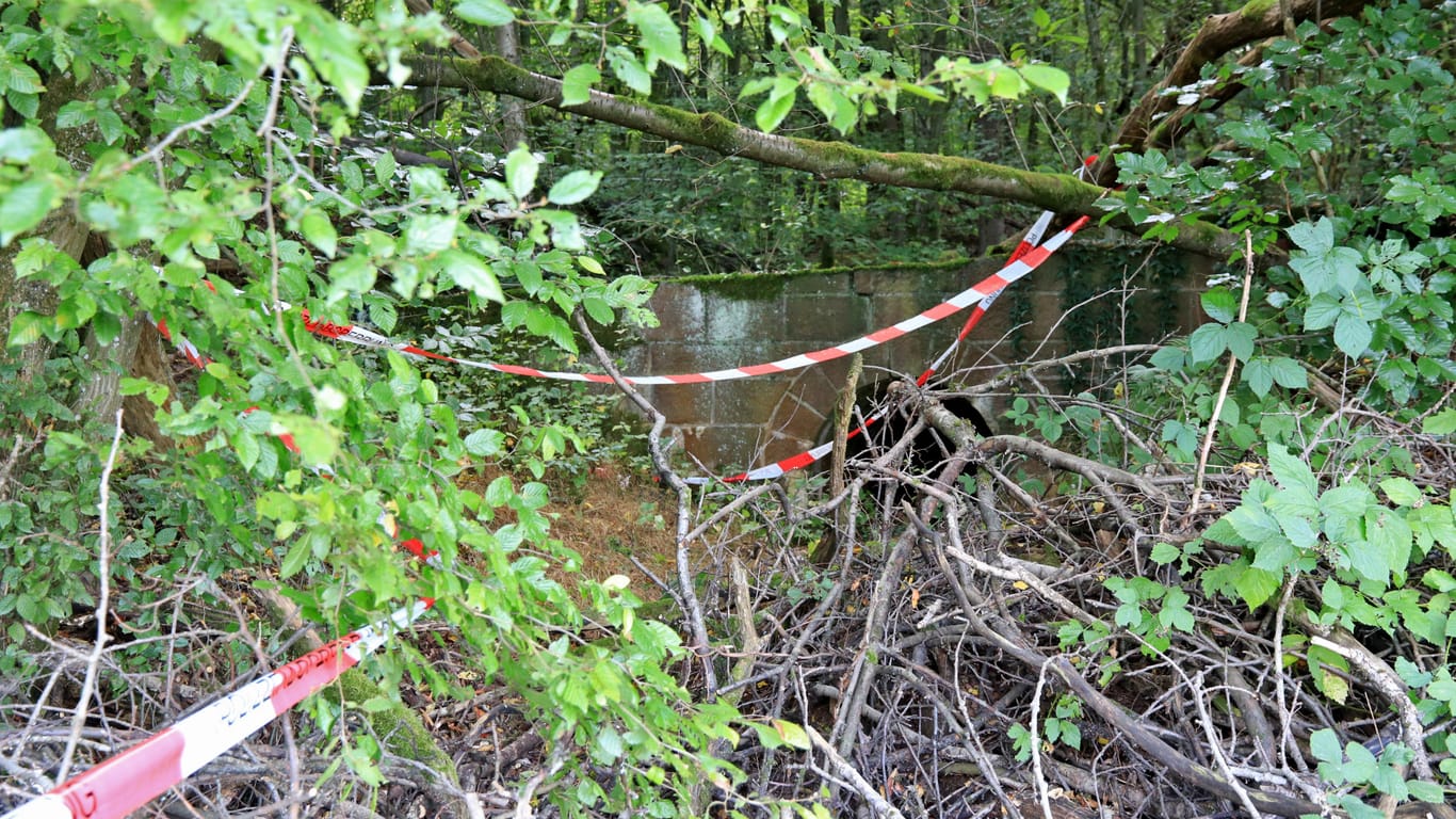 Zwei Männer waren am Dienstagabend in einem Waldgebiet etwa 50 Kilometer nördlich von Würzburg zu Fuß auf der Suche nach neuen Verstecken für das sogenannte Geocaching.
