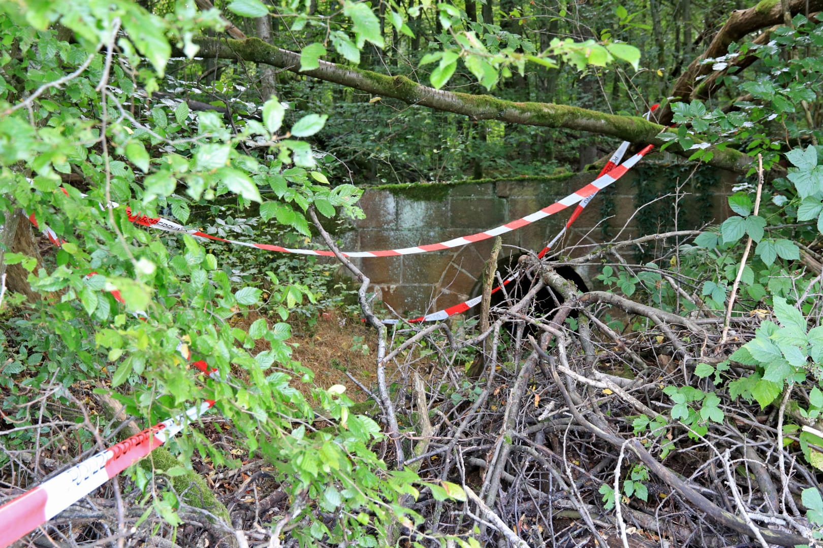 Zwei Männer waren am Dienstagabend in einem Waldgebiet etwa 50 Kilometer nördlich von Würzburg zu Fuß auf der Suche nach neuen Verstecken für das sogenannte Geocaching.