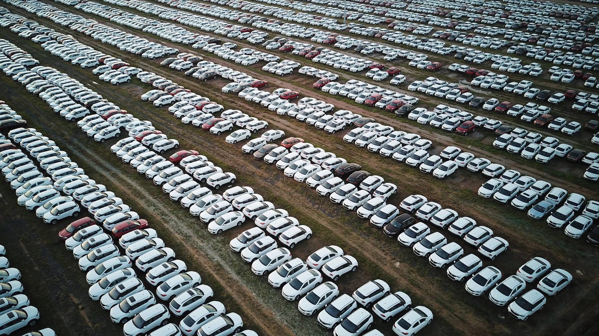 Neuzulassungen im August: Den größten Zuwachs innerhalb der Segmente gibt es bei den SUVs.