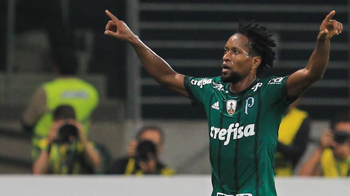 Erfolgsgarant: 2016 gewann Zé Roberto mit Palmeiras die brasilianische Meisterschaft.