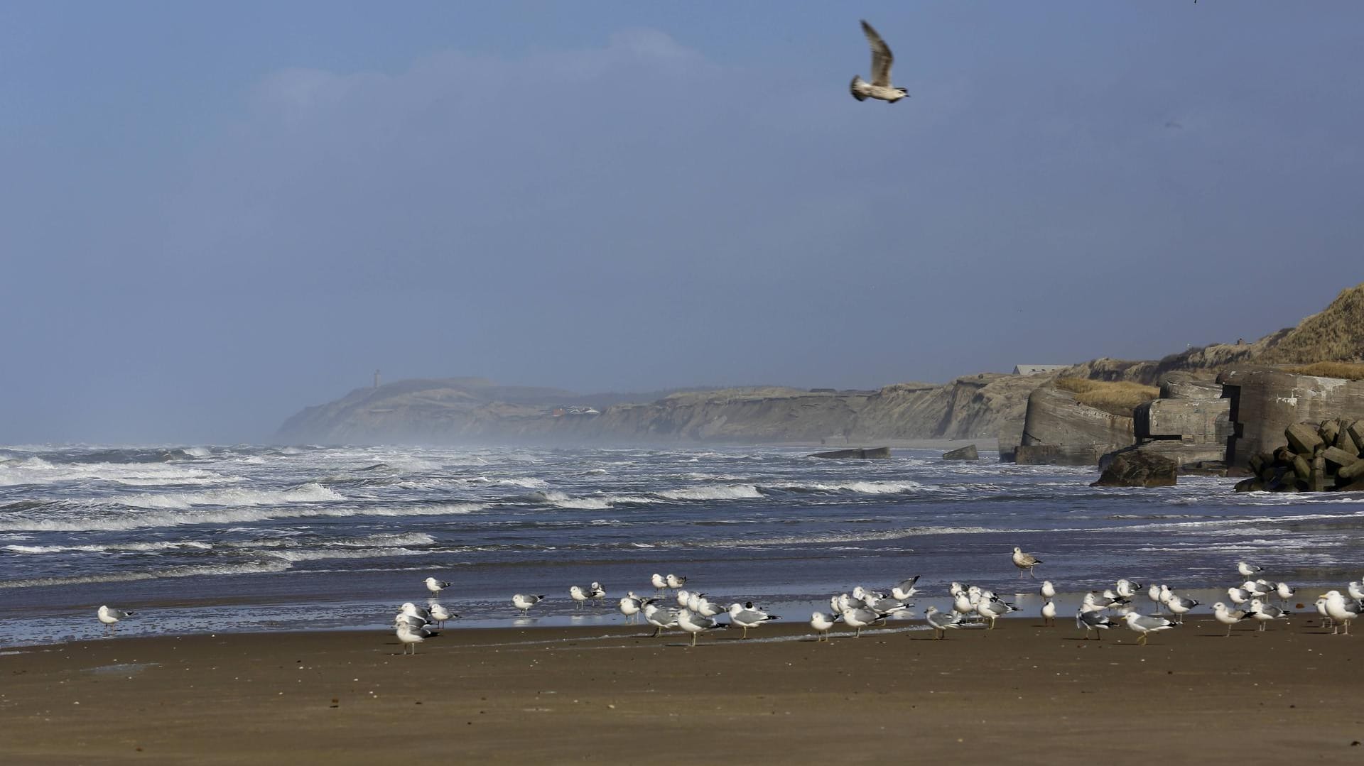 Klimawandel: Nordsee hat sich doppelt so schnell erwärmt wie die Ozeane