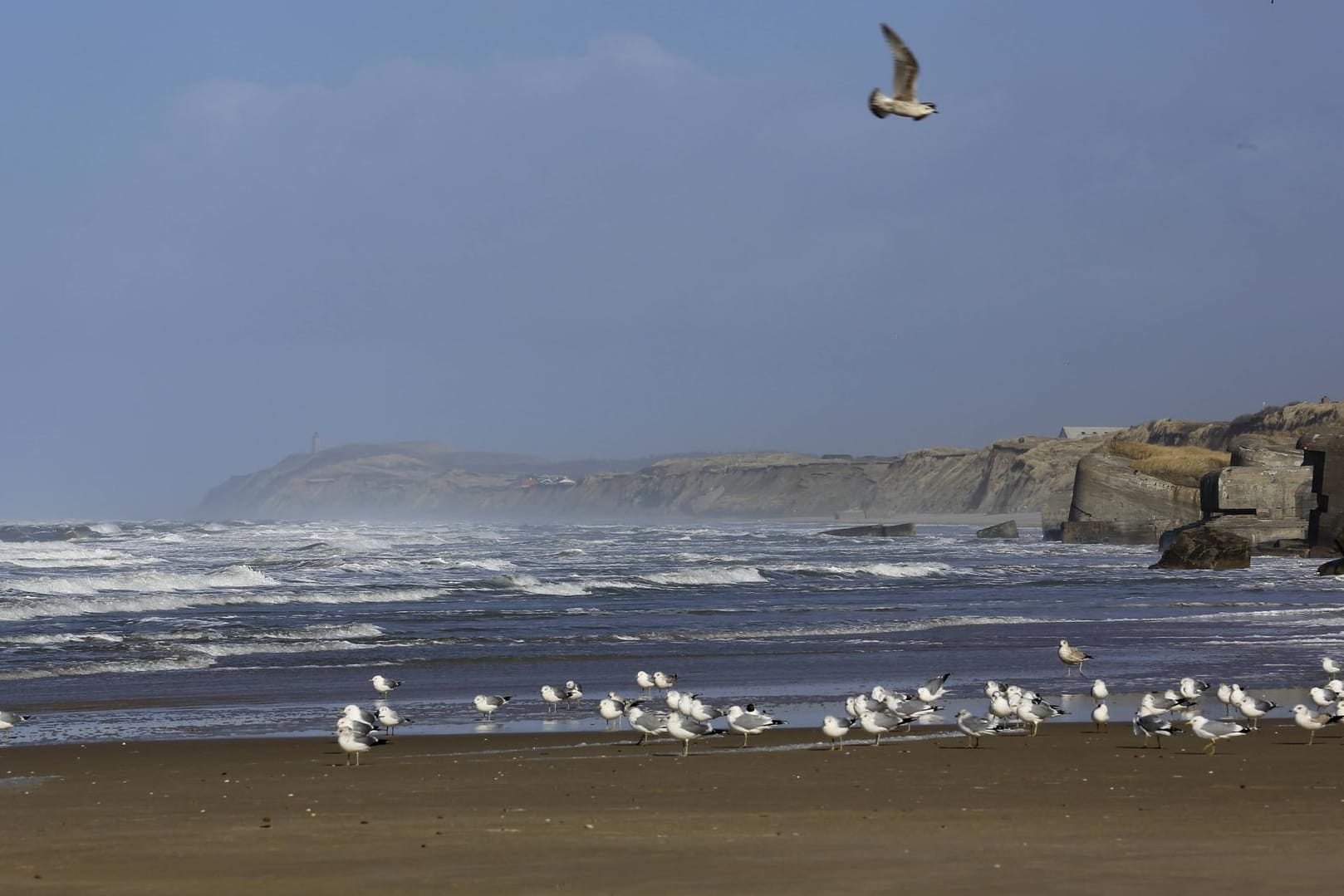 Klimawandel: Nordsee hat sich doppelt so schnell erwärmt wie die Ozeane