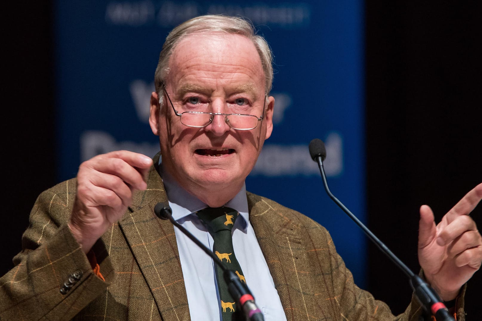 AfD-Spitzenkandidat Alexander Gauland spricht in der Meistersingerhalle in Nürnberg (Bayern).
