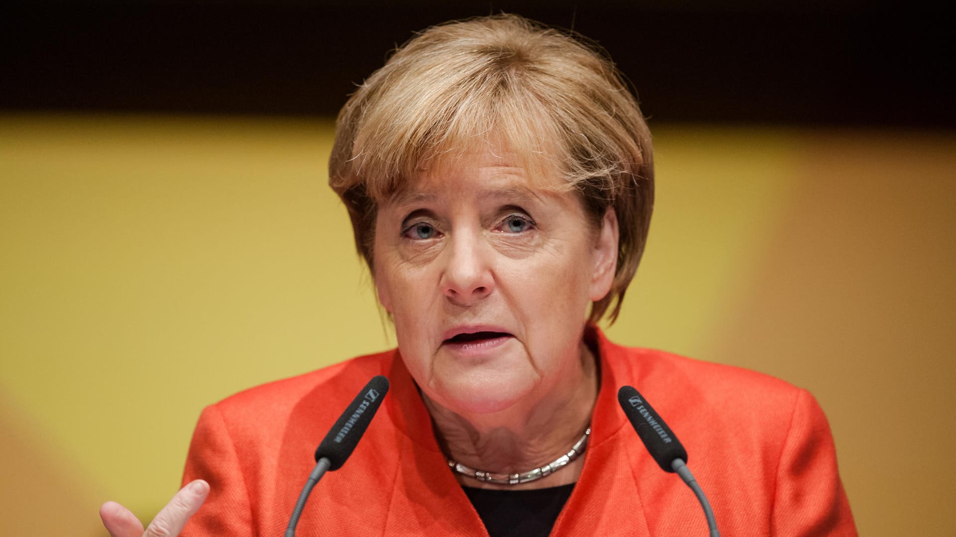 Angela Merkel über Schlichtung im Nordkorea-Konflikt: "Europa und speziell Deutschland sollten bereit sein, dazu einen sehr aktiven Teil beizutragen." Angela Merkel über Schlichtung im Nordkorea-Konflikt: "Europa und speziell Deutschland sollten bereit sein, dazu einen sehr aktiven Teil beizutragen."