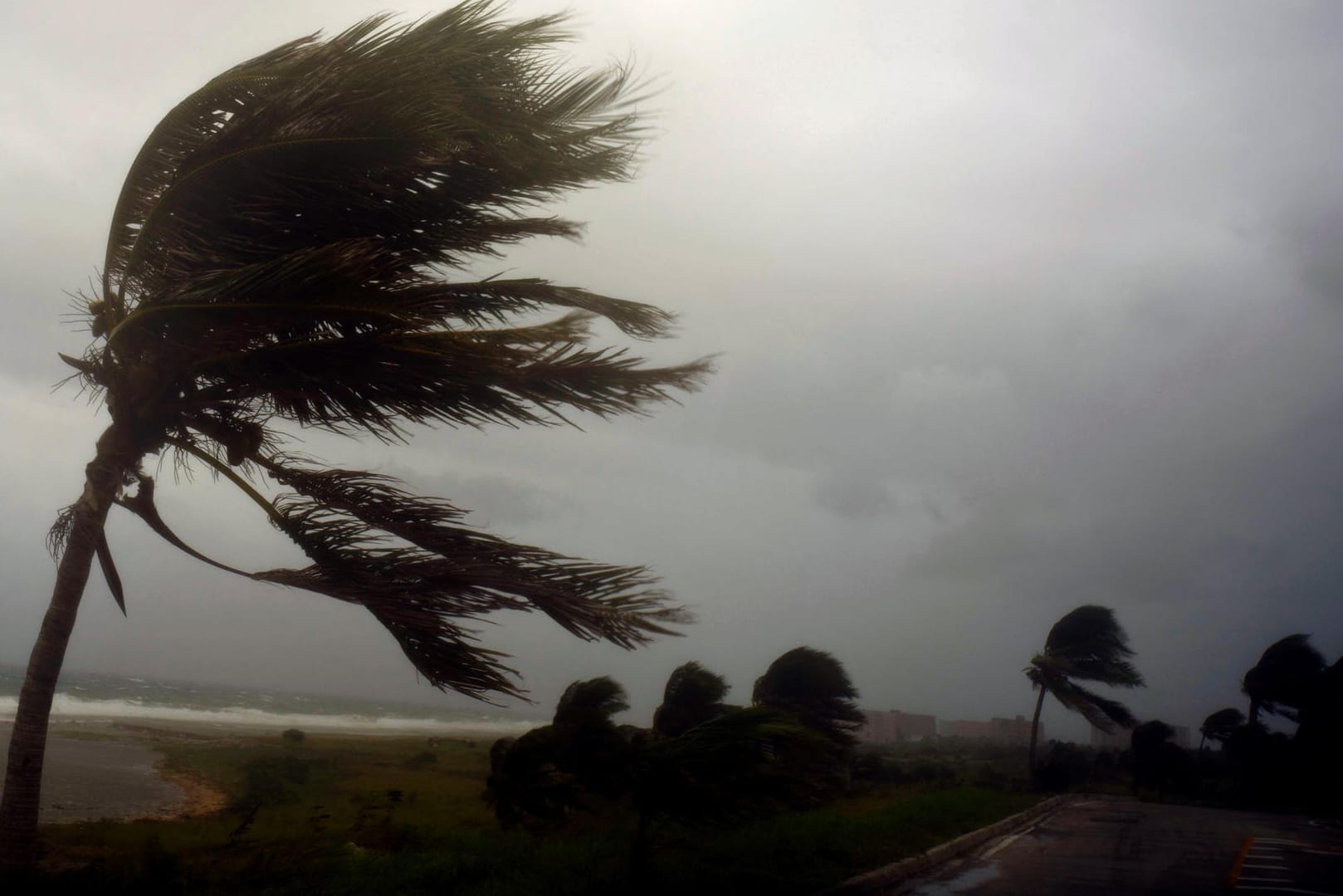 Starke Windböen von Hurrikan "Irma" biegen am Malecon, der berühmten Uferpromenade in Havanna, die Palmen.