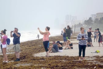 An einem Strand in Florida fotografieren Schaulustige die hohen Wellen.