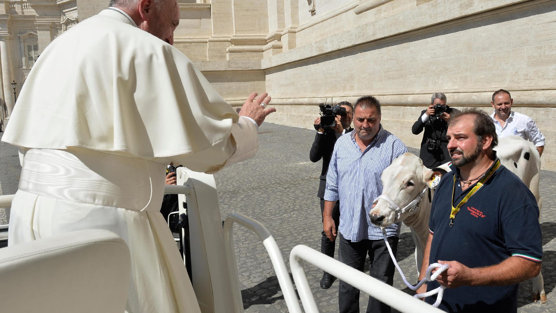 Papst Franziskus