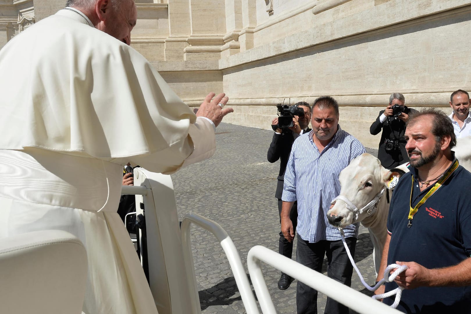 Papst Franziskus
