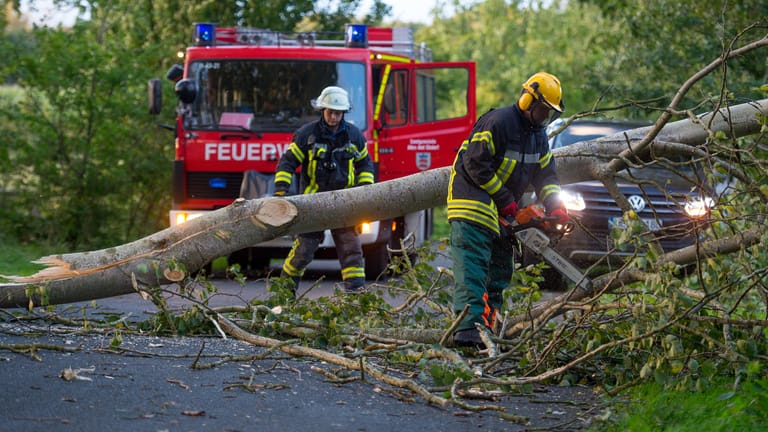 Ein Feuerwehrmann zerkleiner in Ebstorf (Niedersachsen) einen umgestürzten Baum mit einer Motorsäge.