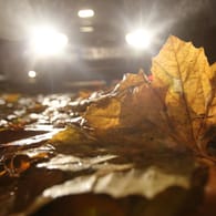 Auto fährt durch Herbstlaub bei Dunkelheit