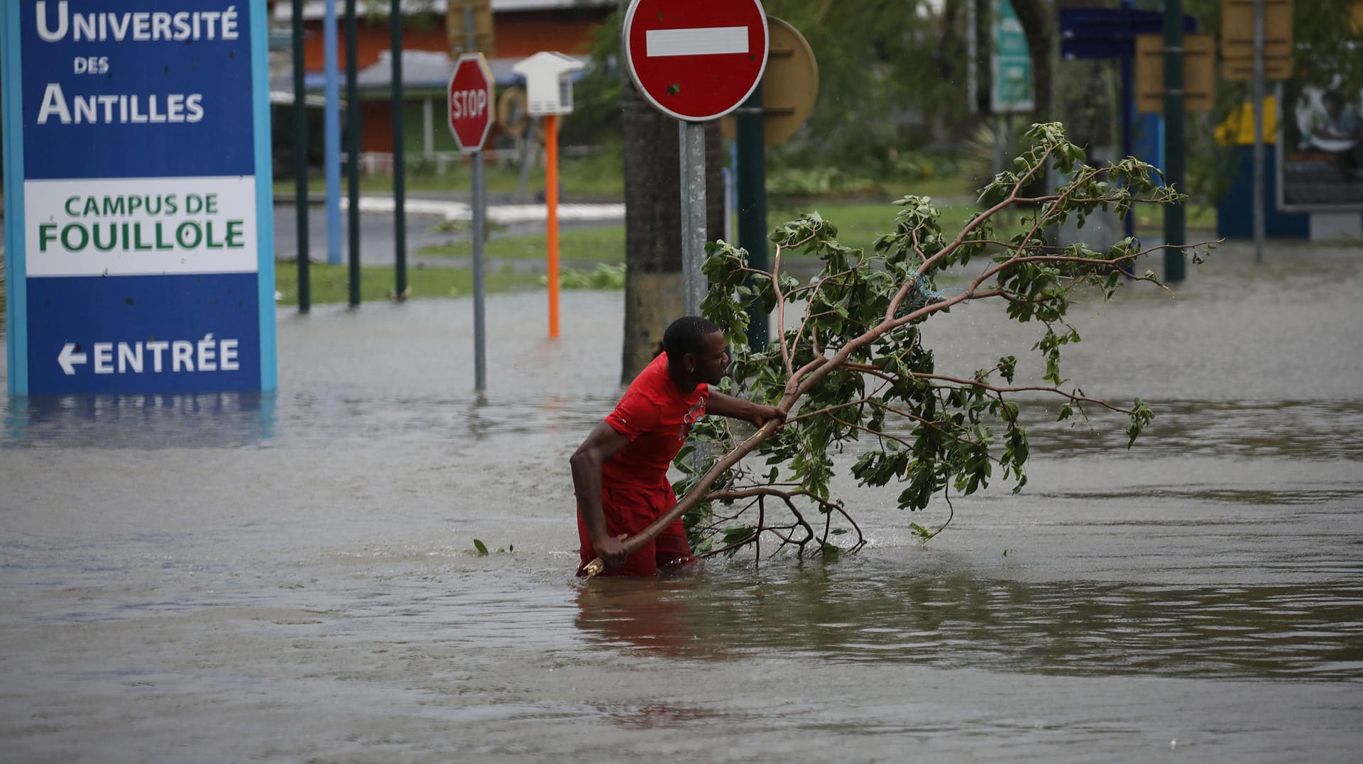 Ein Mann entfernt einen abgerissenen Ast von einer Straße in Pointe-a-Pitre auf Guadeloupe. Ein Mann entfernt einen abgerissenen Ast von einer Straße in Pointe-a-Pitre auf Guadeloupe.