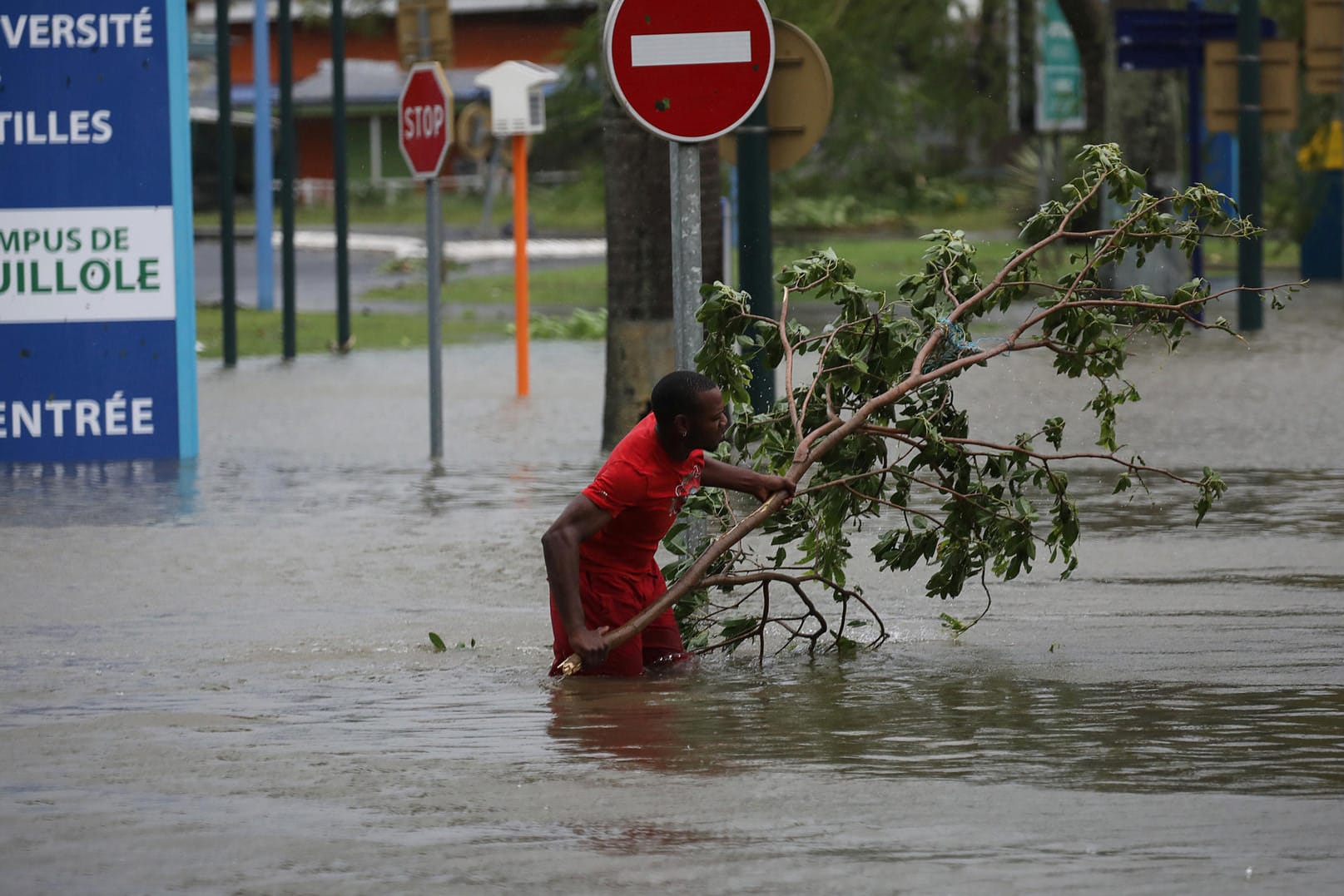 Ein Mann entfernt einen abgerissenen Ast von einer Straße in Pointe-a-Pitre auf Guadeloupe.