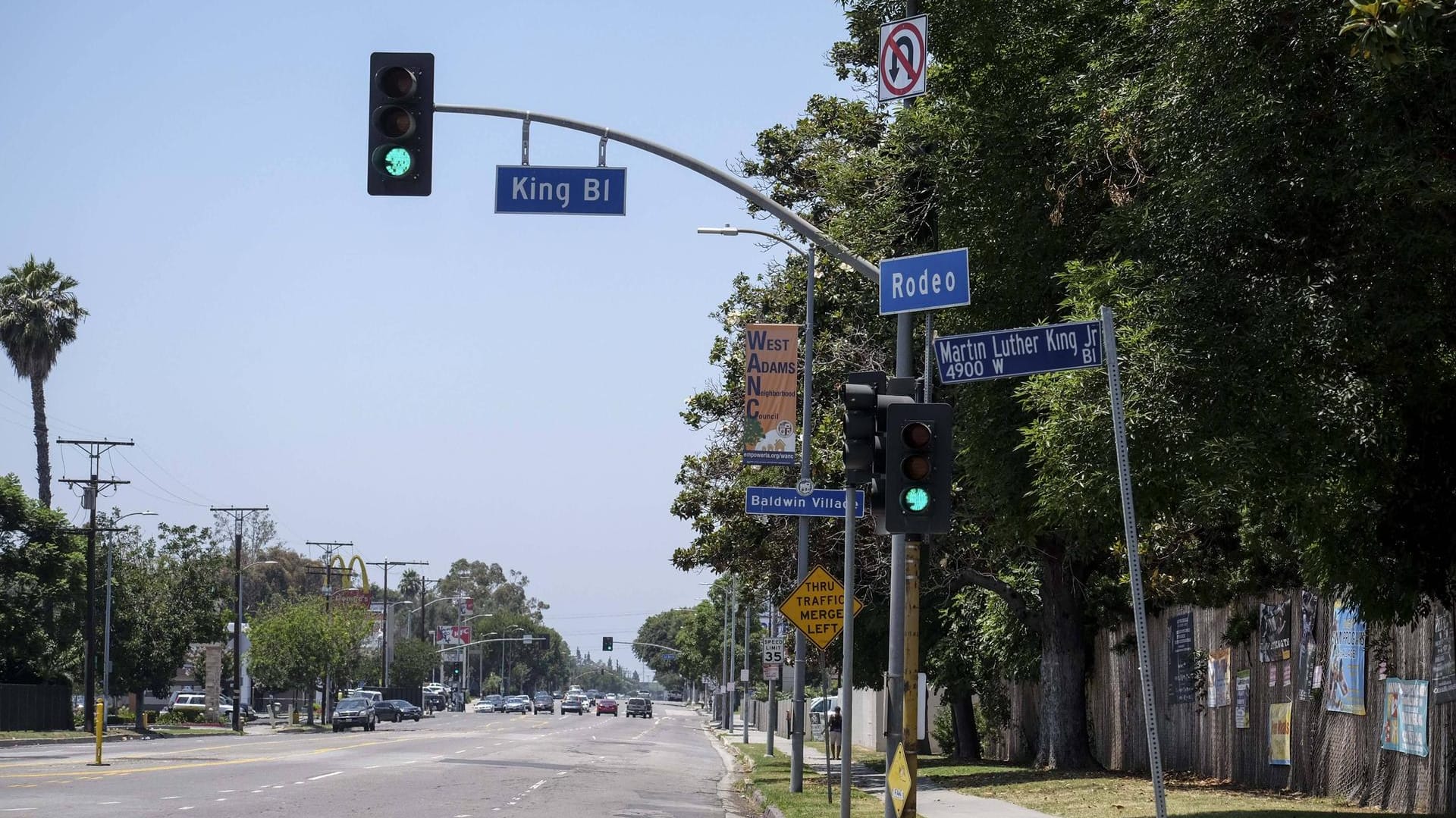 Los Angeles Kalifornien, Bäume neben dem Rodeo Drive