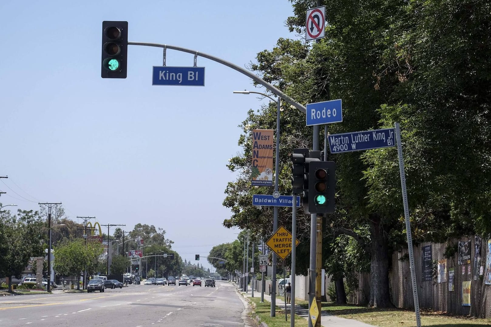 Los Angeles Kalifornien, Bäume neben dem Rodeo Drive