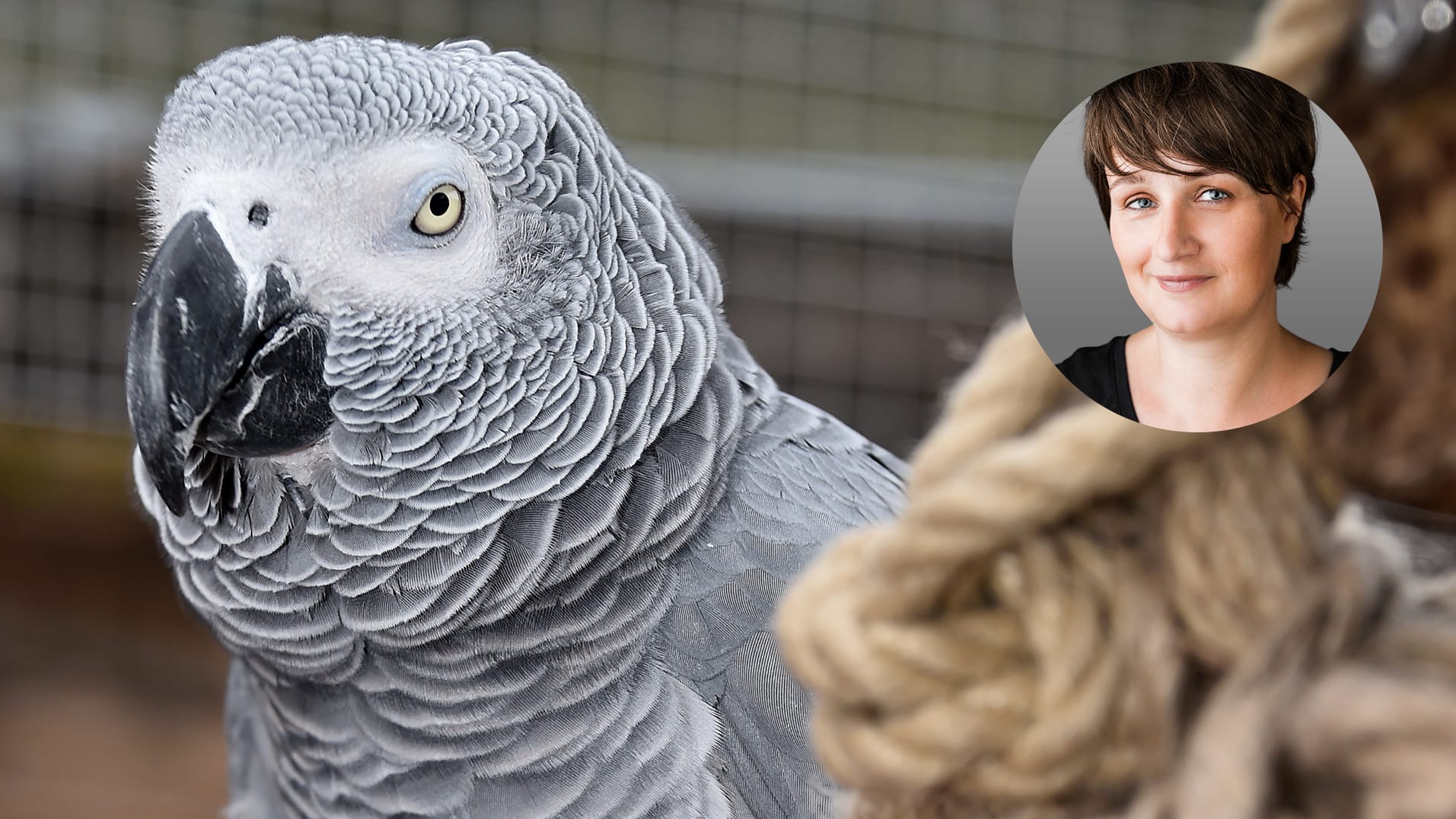 Anja Rützel macht sich Gedanken um die Onlinisierung der Tierwelt.