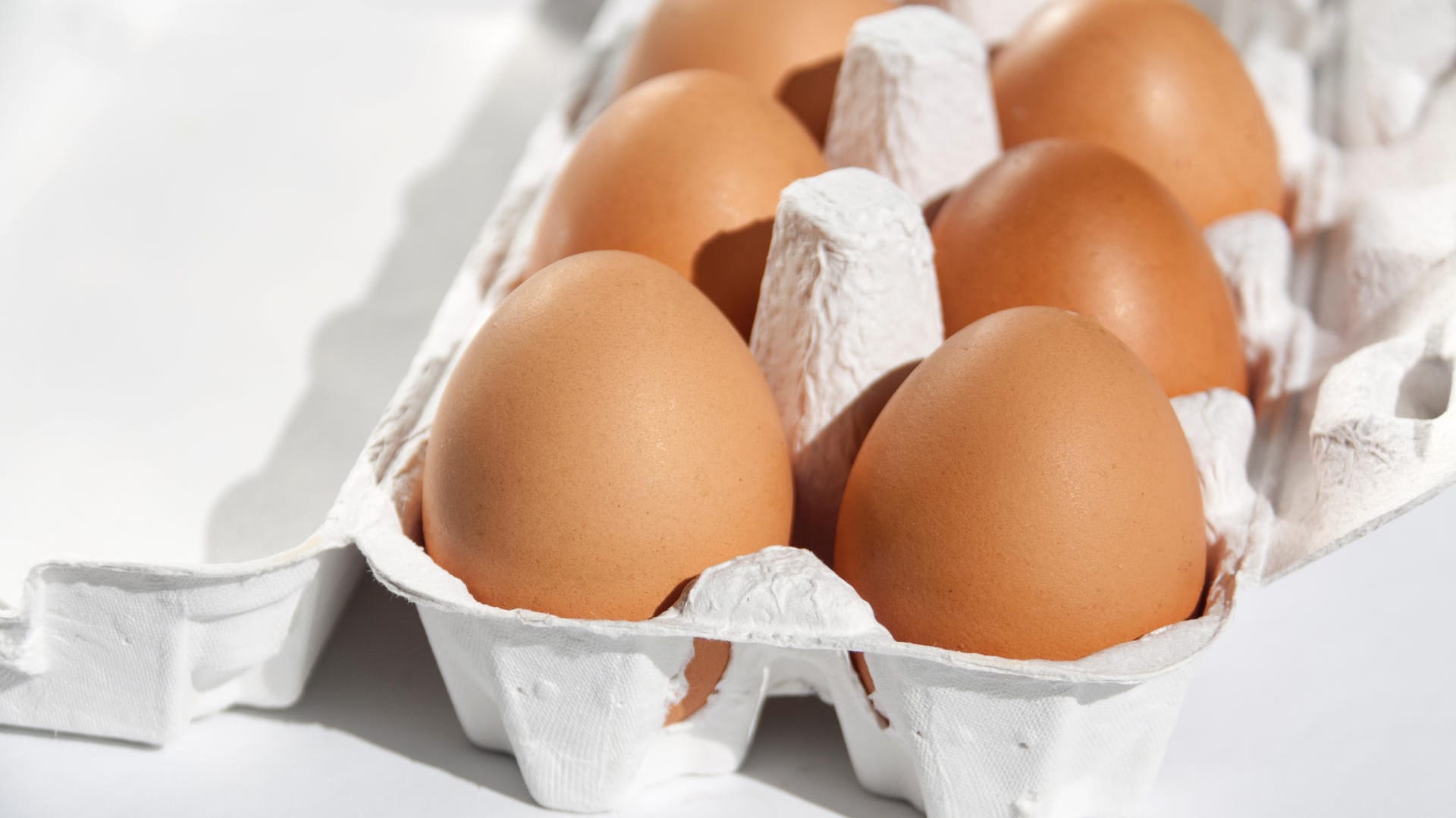 "Eier aus Freilandhaltung" sollen mit Salmonellen belastet sein.