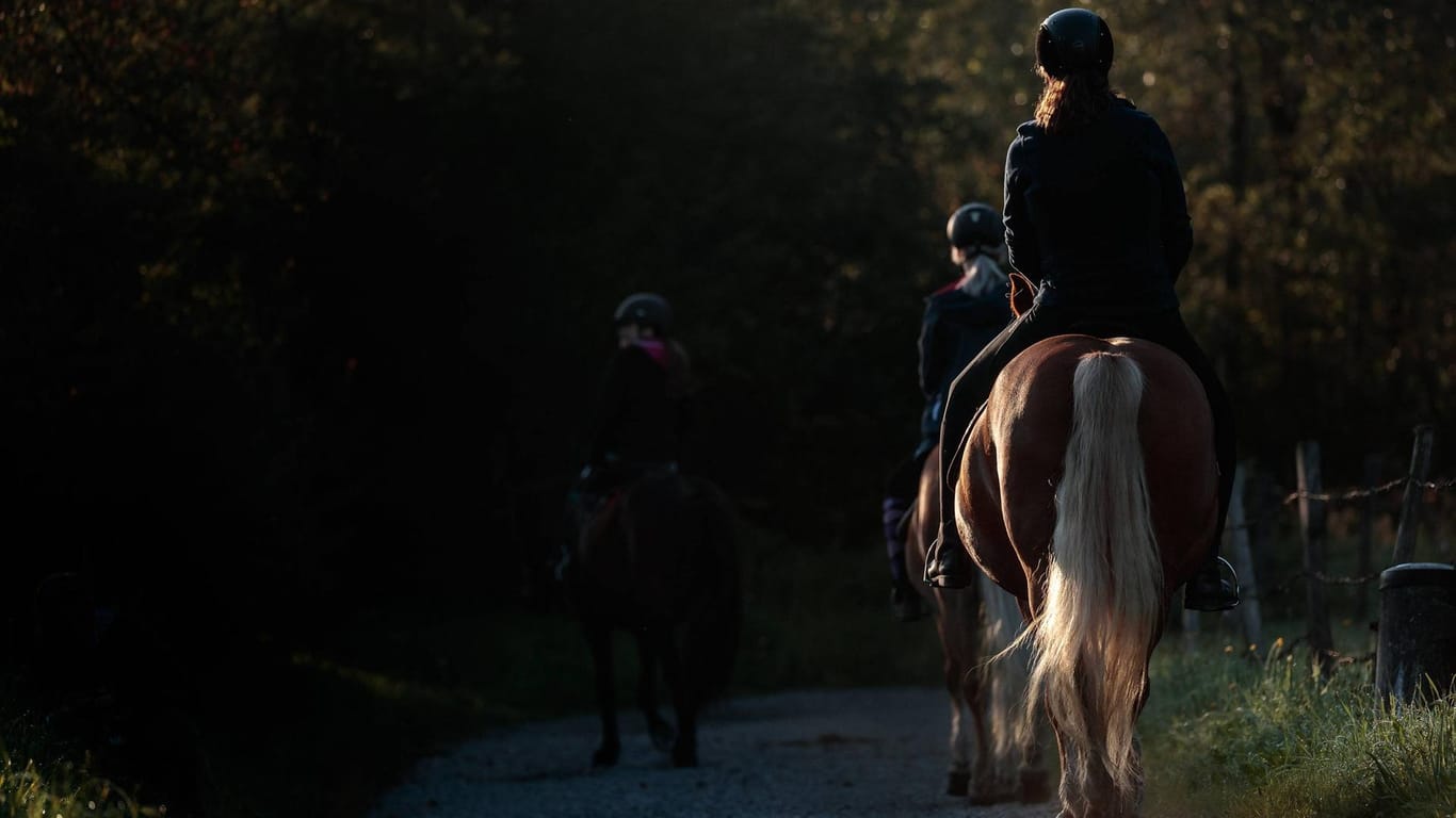 Reiter mit ihren Pferden bei einem Ausflug.