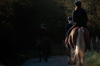 Reiter mit ihren Pferden bei einem Ausflug.
