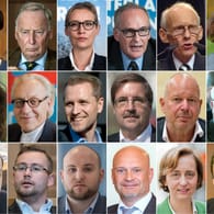 Eine Zusammenstellung aus Abgeordneten der neuen AfD-Fraktion im Deutschen Bundestag.