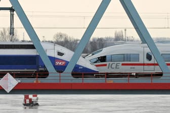 Ein TGV und ein ICE fahren auf der Rheinbrücke in Kehl.