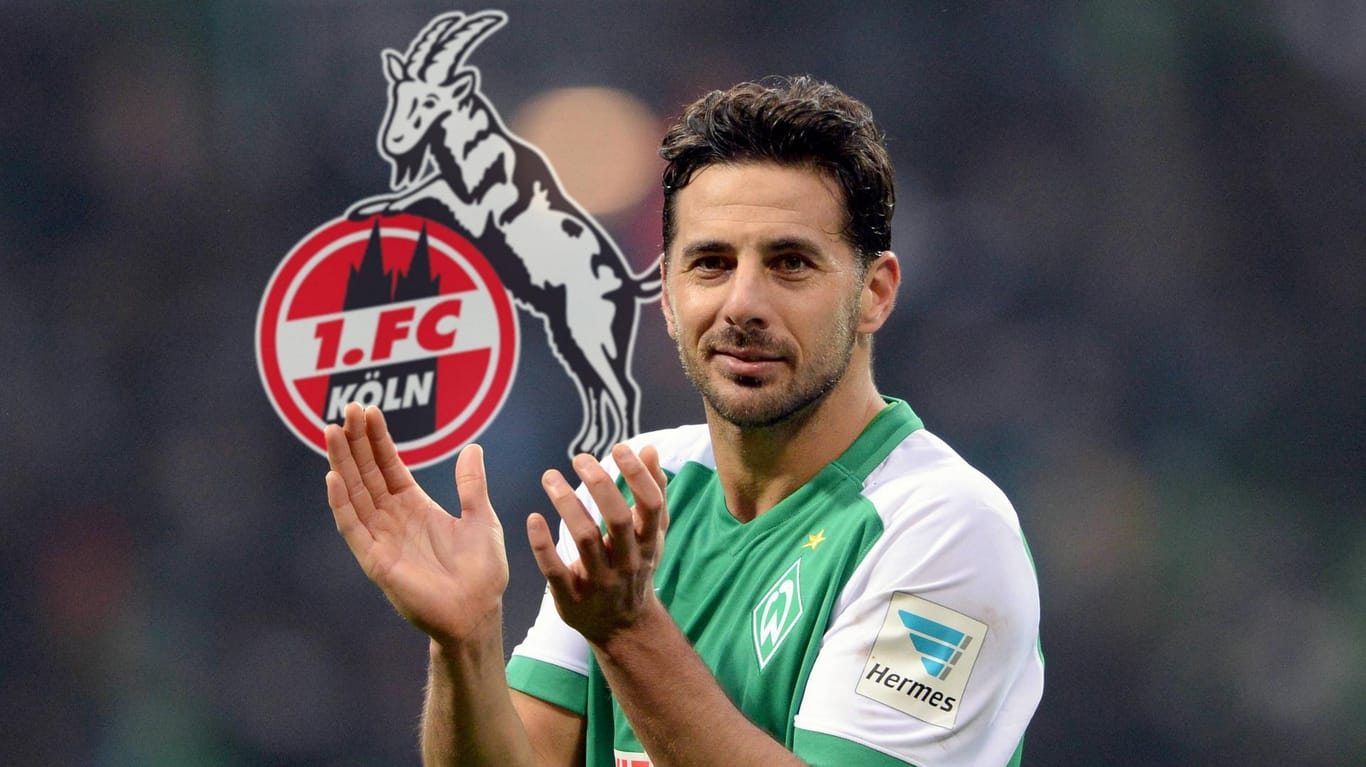 Claudio Pizarro geht ab sofort für den 1. FC Köln auf Torejagd.