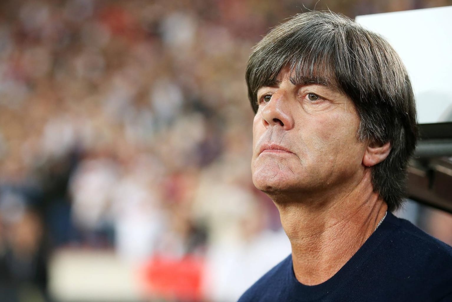 Bundestrainer Joachim Löw will das WM-Ticket für Russland lösen.