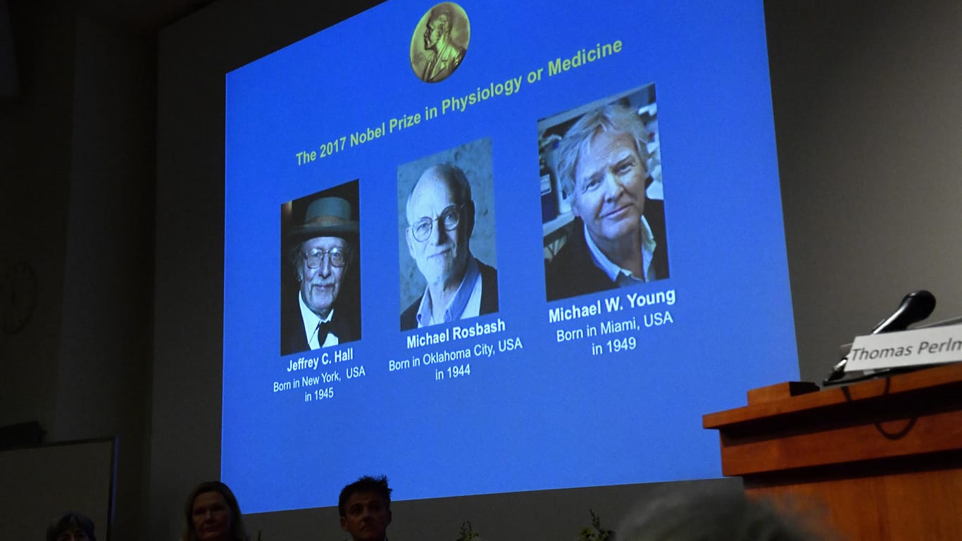 Der Nobelpreis für Medizin geht in diesem Jahr an die drei US-Amerikaner Jeffrey C. Hall, Michael Rosbash und Michael W. Young.