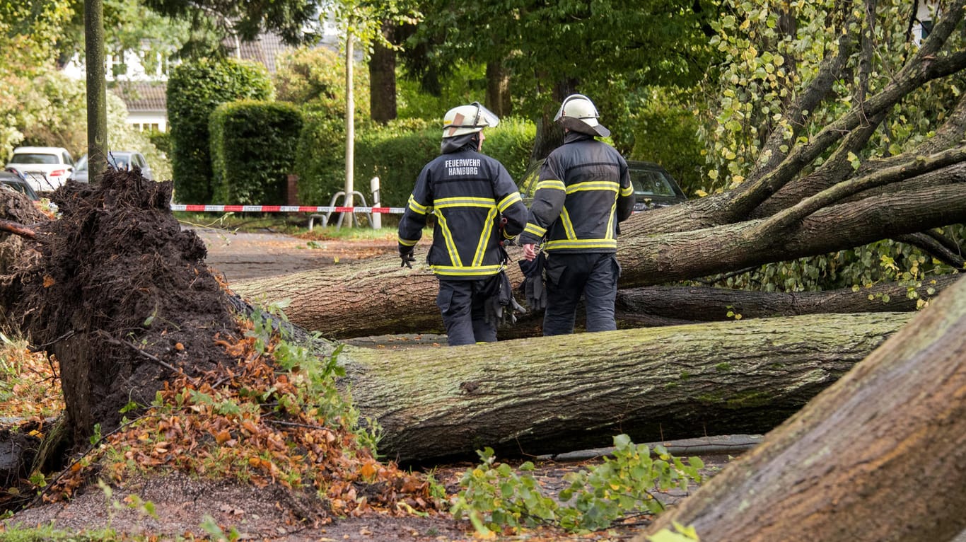 Feuerwehrleute beseitigen umgestürzte Bäume in Hamburg-Niendorf.