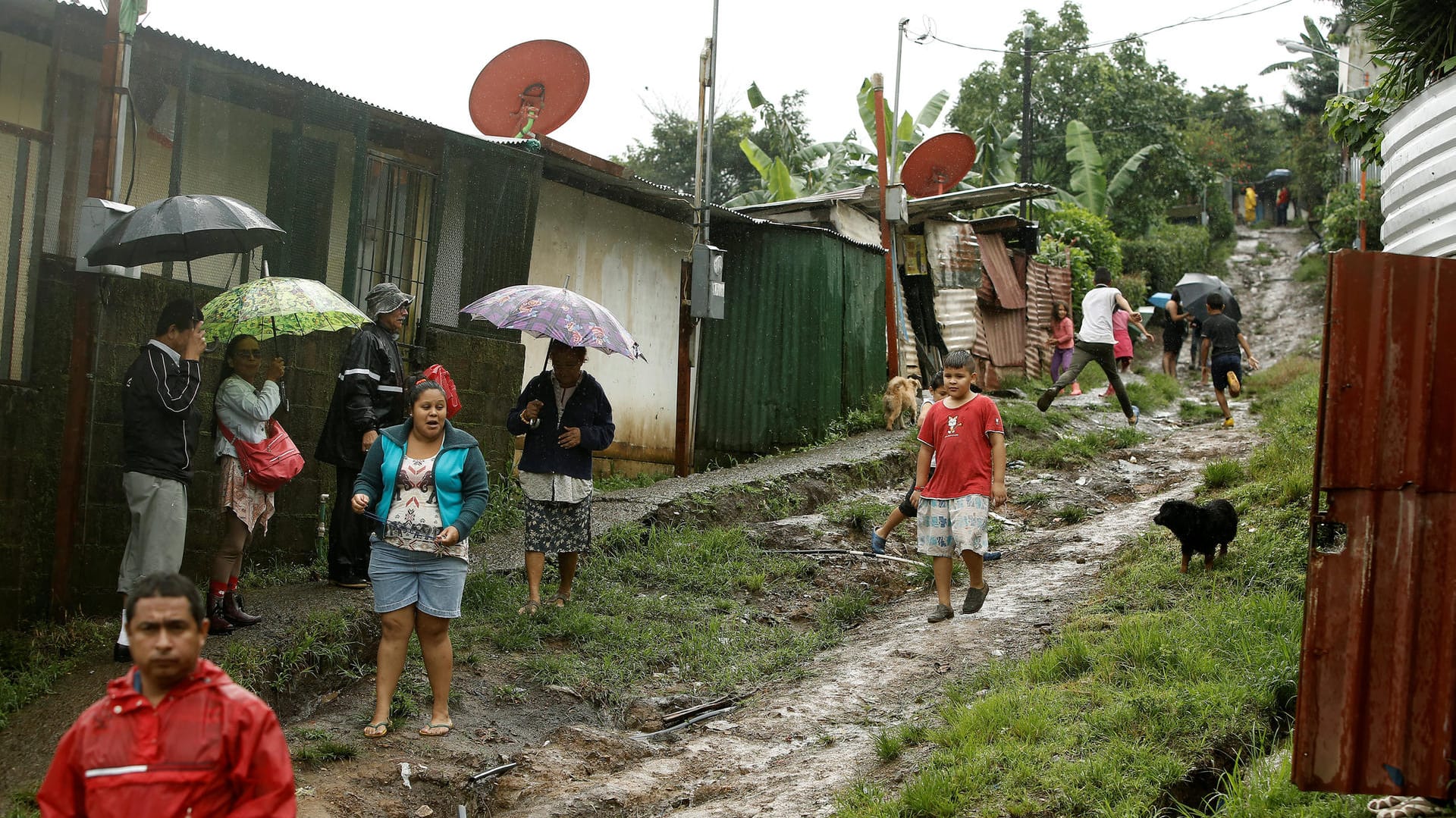Nachdem "Nate" über Costa Rica hingefegt ist, mussten zahlreiche Menschen evakuiert werden. Nachdem "Nate" über Costa Rica hingefegt ist, mussten zahlreiche Menschen evakuiert werden.